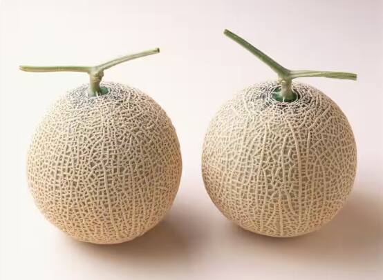 this-is-the-worlds-most-expensive-melon-most-expensive-fruit-in-the-world ਇਹ ਹੈ ਦੁਨੀਆ ਦਾ ਸਭ ਤੋਂ ਮਹਿੰਗਾ ਖਰਬੂਜਾ... ਇੱਕ ਦੀ ਕੀਮਤ 15 ਲੱਖ ਤੋਂ ਜ਼ਿਆਦਾ ਹੈ