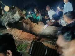 महाराष्ट्र: अकोला में बारिश से बड़ा हादसा, मंदिर की शेड पर पेड़ गिरने से 7 की मौत, 30 लोग घायल