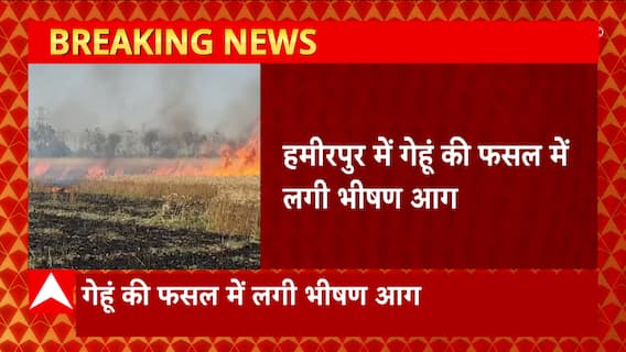 Breaking News : Hamirpur में करीब 160 बीघे में लगी गेहूं की फसल जलकर राख... | UP News