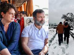 On Siblings Day 2023, Priyanka Gandhi Shares Heartwarming Post For Brother Rahul