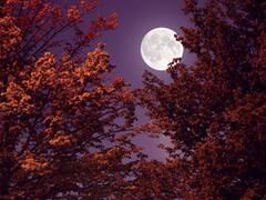 Deaths By Suicide Increase During Week Of Full Moon, Late Afternoon, Fall Season Are Peak Times: Study