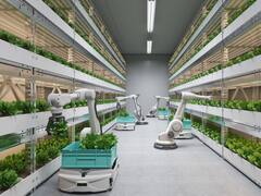 खेती-किसानी से छप्पर फाड़ पैसा दिलाएंगी ये विदेशी तकनीक...कई किसानों का हुआ फायदा, आप भी आजमाके देख लें!