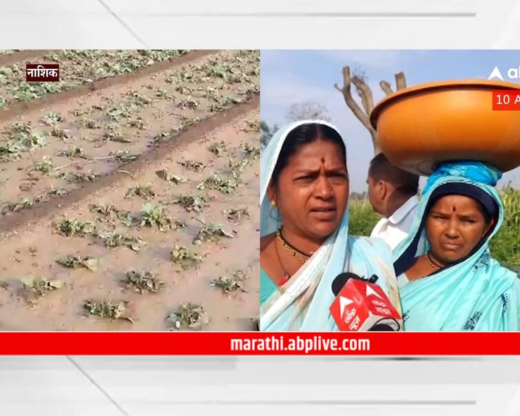 Nashik News Due to unseasonal rains crop damage farmers in financial crisis Maharashtra Nashik Rain Update : देवदर्शन झालं असलं तर शेतकऱ्यांच्या बांधावर येऊन परिस्थिती पाहा, नाशिकमध्ये शेतकरी संतप्त 