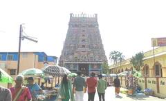 Alumni meet : 96 பட பாணியில் ரீயூனியன் செய்த முன்னாள் மாணவர்கள்; ஒன்றாக சேர்ந்து டும் டும் டும்!