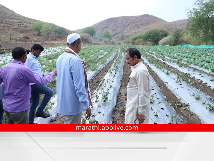Abdul Sattar : राज्यात अवकाळी पावसाने पुन्हा एकदा शेतकऱ्यांची चिंता वाढवली असून, मोठ्याप्रमाणावर पिकांचे नुकसान झाले आहे.