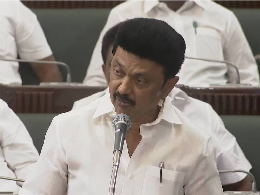 TN Assembly: ’அரசியல்வாதியாக பேசுகிறார் ஆளுநர்.. கைகட்டி வேடிக்கை பார்க்க மாட்டோம்’..  சட்டப்பேரவையில் முதலமைச்சர் பேச்சு