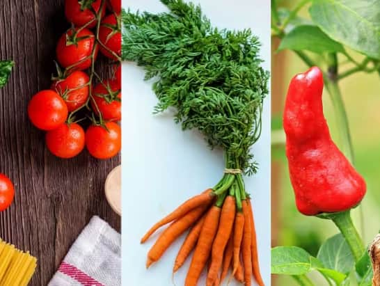 red-chili-carrot-and-tomato-are-red-in-color-then-why-they-tastes-different ਲਾਲ ਮਿਰਚ, ਗਾਜਰ ਤੇ ਟਮਾਟਰ... ਤਿੰਨਾਂ ਦਾ ਰੰਗ ਹੈ ਲਾਲ, ਫਿਰ ਤਿੰਨਾਂ ਦੇ ਸੁਆਦ 'ਚ ਫਰਕ ਕਿਉਂ?