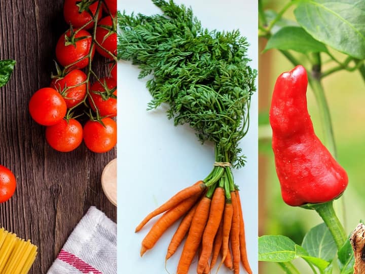 Red chili carrot and tomato are red in color then why they tastes different लाल मिर्च, गाजर और टमाटर... तीनों का रंग लाल होता है, फिर तीनों के स्वाद में फर्क क्यों है?
