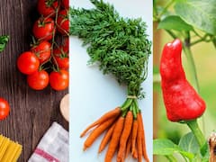 लाल मिर्च, गाजर और टमाटर... तीनों का रंग लाल होता है, फिर तीनों के स्वाद में फर्क क्यों है?