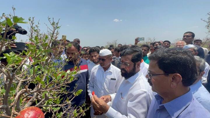 त्यामुळे झालेल्या नुकसानीची पाहणी करण्यासाठी मुख्यमंत्री एकनाथ शिंदे (CM Eknath Shinde) स्वतः शेतकऱ्यांच्या बांधावर जाऊन पाहणी करताना पाहायला मिळत आहे.