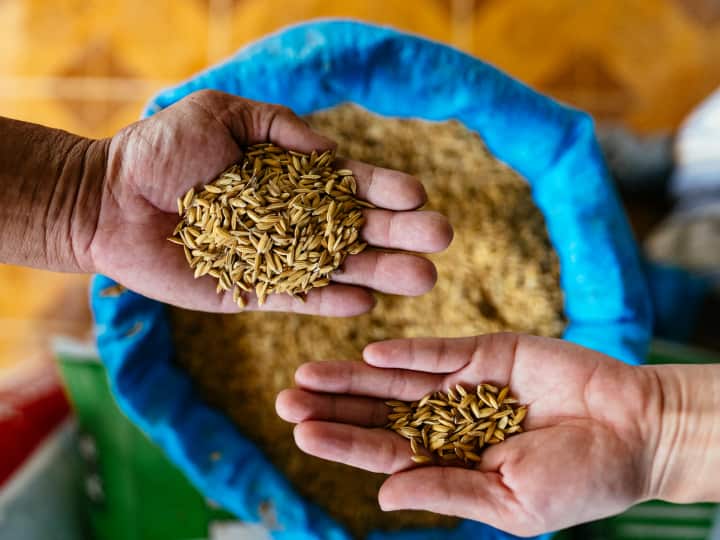 The government and cooperative society set Seed rates for Kharif season crops including cereals pulses oilseeds Kharif Crop Farming: इन कीमतों पर मिलेंगे धान, सोयाबीन, मूंगफली समेत खरीफ फसलों के बीज! आए नए रेट