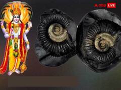 ‌Varuthini Ekadashi 2023: वरुथिनी एकादशी पर आर्थिक तंगी से मुक्ति पाने के लिए करें ये उपाय, प्रसन्न होंगे लक्ष्मी-नारायण