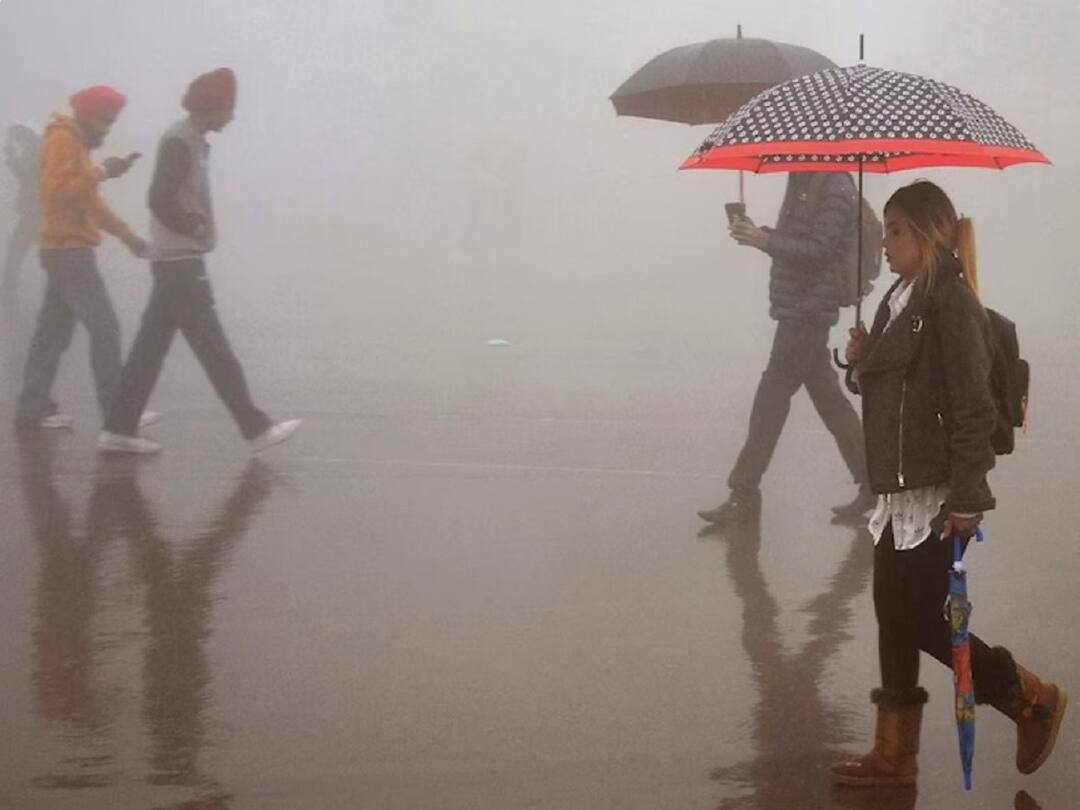 Southwest Monsoon 2023 Rainfall Forecast La Nina Conditions Neutral Summer Monsoon Rainfall IMD Southwest Monsoon: ఈ ఏడాది వానలే వానలట - రైతులు ఫికర్ పడొద్దంటూ ఐఎండీ భరోసా