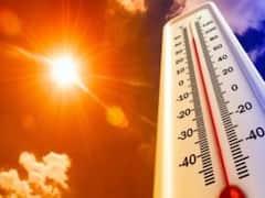 West Bengal Heat Wave : উত্তোরত্তর বাড়বে গরম, কবে ৪০ ডিগ্রি ছোঁবে কলকাতার তাপমাত্রা ?