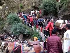 उत्तराखंड: यात्रियों से अभद्रता करना पड़ेगा भारी, घोड़े-खच्चर और डंडी-कंडी संचालकों के होंगे लाइसेंस निरस्त