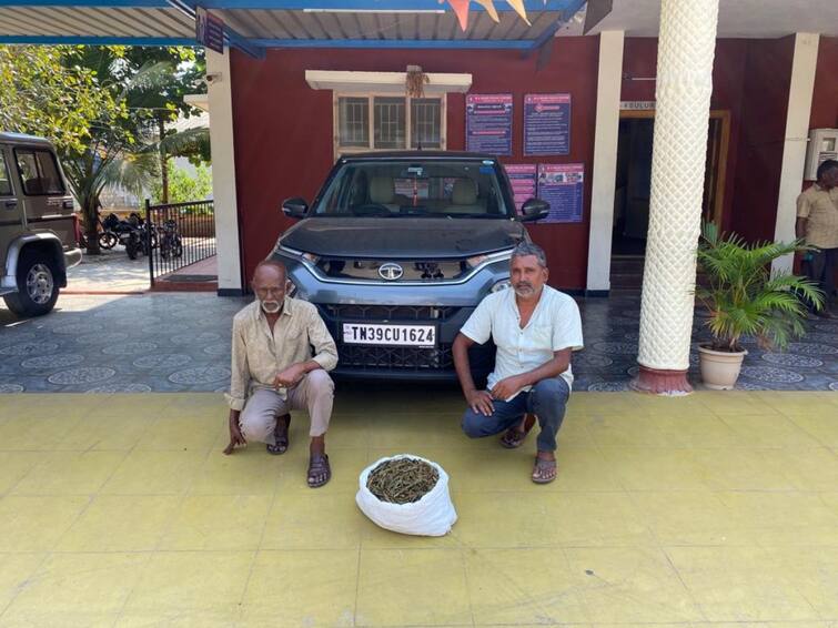 Police arrested 3 people for selling ganja and drugs in Coimbatore TNN Crime: கோவையில் கஞ்சா, போதை மாத்திரைகள் விற்பனை செய்தவர்கள் கைது