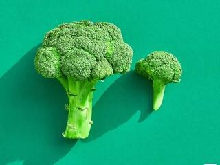 நீரிழிவு நோய் வராமல் தடுக்கும் ப்ரோக்கோலி… ஆராய்ச்சியில் கண்டுபிடிக்கப்பட்ட முக்கியமான மூலக்கூறு!