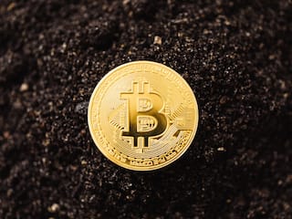 Bitcoin Rises Above $30,000 For The First Time Since June 2022. Why Is BTC On The Rise?