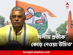দলটাকে ব্যান করে দলীয় প্রতীক কেড়ে নেওয়া উচিত, তৃণমূলকে কটাক্ষ দিলীপ ঘোষের