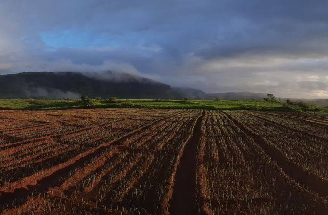 दरवर्षी शेतकऱ्यांना भारतीय हवामान विभागाच्या अंदाजाची प्रतिक्षा असते. सगळे शेतकरी नेमका हवामान विभागाचा काय अंदाज येईल याची वाट बघत असतात.