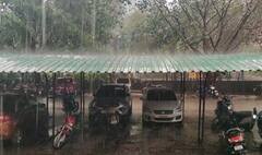 Pune Rain Update : पुण्यात वादळी वाऱ्यासह बरसला पाऊस