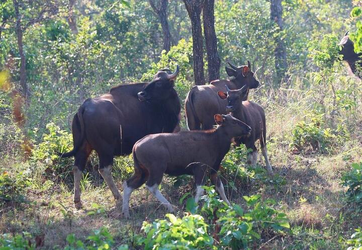 அங்கு எடுக்கப்பட்ட புகைப்படங்களை, மோடி சமூக வலைதள பக்கங்களில் பகிர்ந்துள்ளார்.