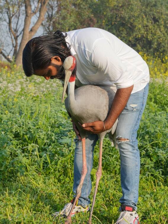 आरिफ और सारस की मुलाकात का ये वीडियो देख छलक आएंगी आंखें
