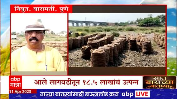 Saat Barachya Batmya : 7/12 : आल्याच्या शेतीतून मिळालं साडे अठरा लाखांचं उत्पादन, शेतकऱ्याची कमाल