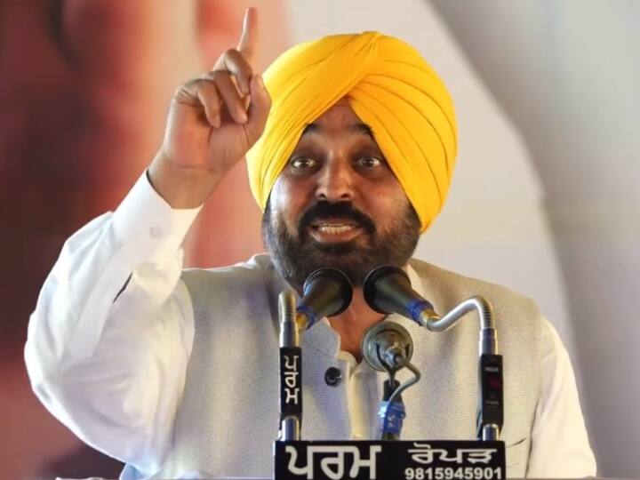 punjab government urges center government to relax standards for wheat procurement Punjab News: बारिश की वजह से खराब हुई गेहूं की फसल, अब पंजाब सरकार ने केंद्र से की ये खास अपील