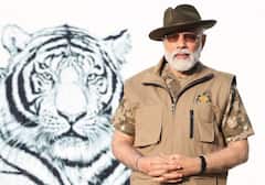 PM Modi: இணையத்தில் ட்ரெண்டாகி வரும் பிரதமர் மோடியின் முதுமலை பயண புகைப்படங்கள்!