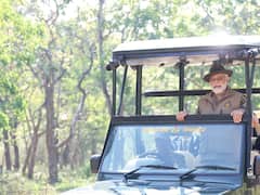 PM Modi Shares Glimpses Of His Visit To Karnataka's Bandipur Tiger Reserve—See Pics