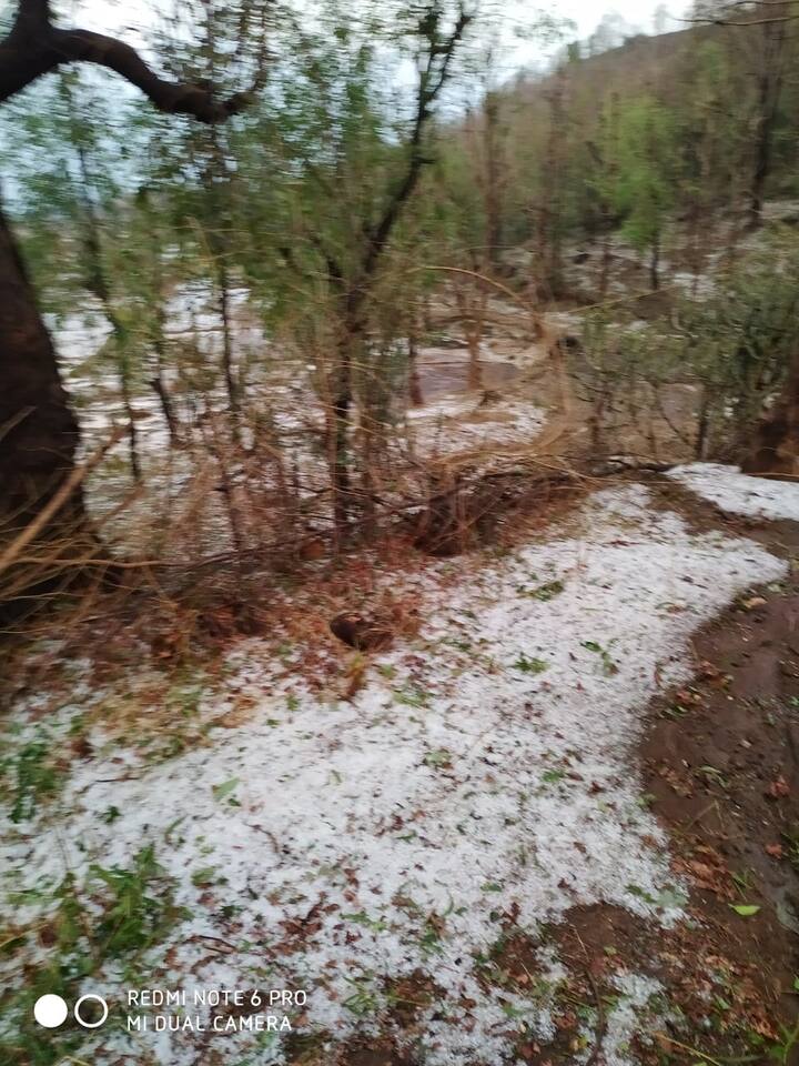 गेल्या चार दिवसांपासून नाशिक जिल्ह्याला अवकाळी पावसाने झोडपून काढले आहे.