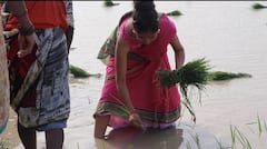 In Pics: स्वयंवर रचाने के बाद भी कुंवारी हैं टीवी की ये हसीना, एक्टिंग से दूर जी रही ऐसा लाइफ