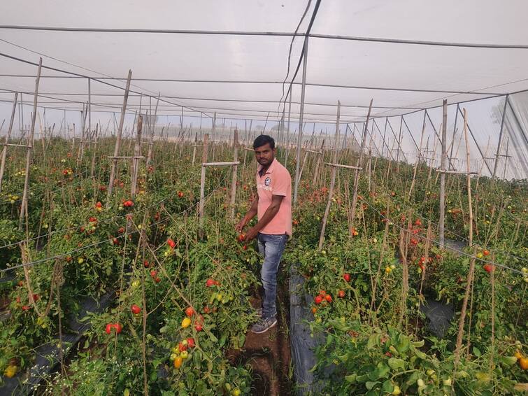 maharashtra News Jalna News Decided to quit private job and start farming  Earned lakhs of income through hard work Jalna News : खासगी नोकरी सोडून शेती करण्याचं ठरवलं, कष्टाच्या जिवावर लाखोंचं उत्पन्न कमावलं
