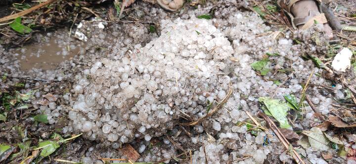 Nashik Unseasonal Rain And Hailstorm : नाशिक जिल्ह्याला अवकाळी पावसाने झोडपून काढले आहे. महत्त्वाचं म्हणजे सोमवारी झालेल्या गारांचा पाऊस आजही जशाच्या तशाच आहे.