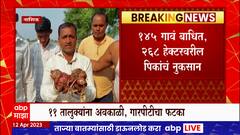 Nashik Unseasonal Rain : नाशिकच्या 11 तालुक्यात अवकाळी पावसाचं थैमान, 268 हेक्टरवरील पिकांचं नुकसान