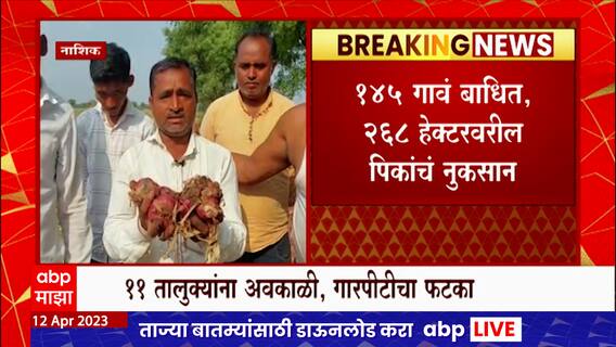 Nashik Unseasonal Rain : नाशिकच्या 11 तालुक्यात अवकाळी पावसाचं थैमान, 268 हेक्टरवरील पिकांचं नुकसान