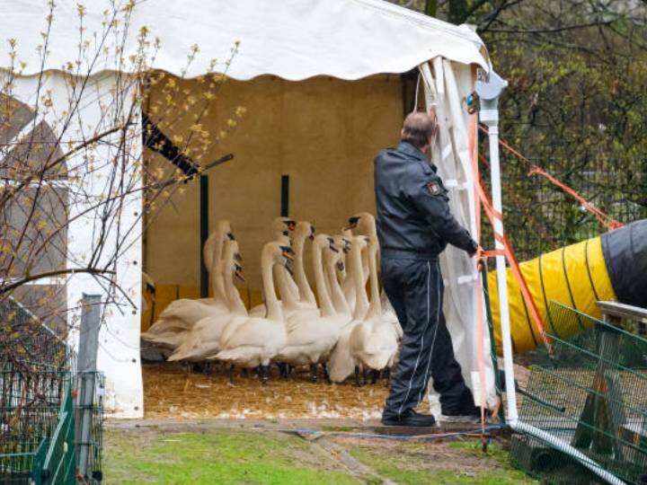 For the first time a person died due to bird flu, now WHO gave this special information