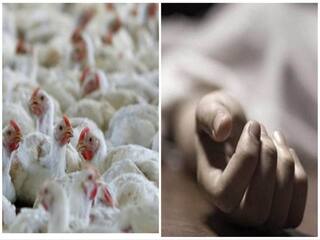 H3N8 Bird Flu: உலகிலேயே முதல் முறை.. பறவைக்காய்ச்சல் வைரசுக்கு மனித உயிரிழப்பு..! என்னதான் நடந்தது?