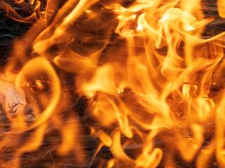 Texas Dairy Farm Fire: பால் பண்ணையில் பயங்கர தீ விபத்து;  வானெங்கும் சூழ்ந்த கரும் புகை; 18 ஆயிரம் மாடுகள் இறப்பு...!