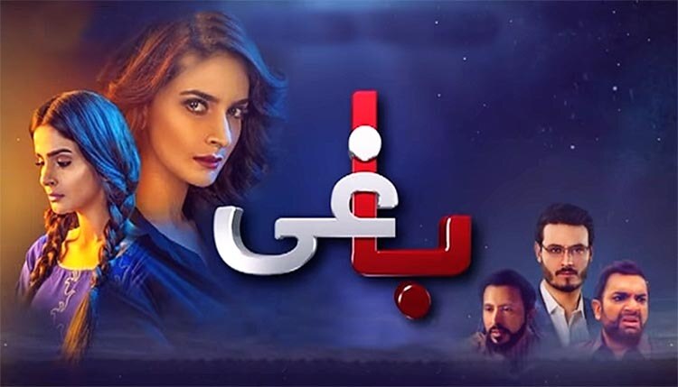 Pakistani Serial: 'ਹਮਸਫਰ' ਤੋਂ 'ਜ਼ਿੰਦਗੀ ਗੁਲਜ਼ਾਰ ਹੈ' ਤੱਕ, ਓਟੀਟੀ 'ਤੇ ਦੇਖੋ ਪਾਕਿਸਤਾਨ ਦੇ ਇਹ ਸੁਪਰਹਿੱਟ ਸੀਰੀਅਲ