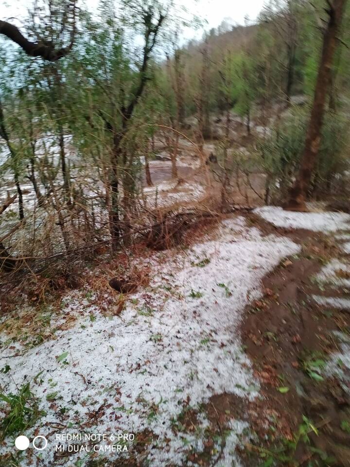 विशेष म्हणजे सोमवारी झालेल्या गारांचा पाऊस आजही जशाच्या तशाच आहे.