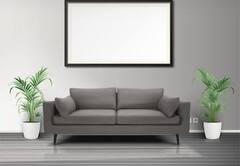 Plants for Living Room : नेचुरल एयर प्यूरीफायर हैं ये 5 पौधें, लिविंग रूम की बदल देते हैं सूरत, सेहत भी करते हैं दुरुस्त