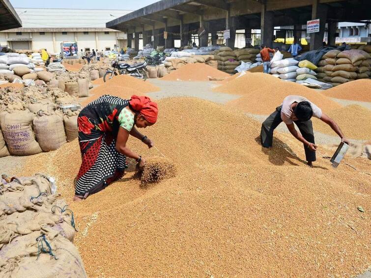 The price of wheat has increased due to the cut in the government rate, the purchase of two days has been announced Ludhiana News: ਕਣਕ ਦਾ ਸਰਕਾਰੀ ਰੇਟ 'ਤੇ ਕੱਟ ਤੋਂ ਭੜਕੇ ਆੜ੍ਹਤੀ, ਦੋ ਦਿਨ ਖਰੀਦ ਬੰਦ ਕਰਨ ਦਾ ਐਲਾਨ