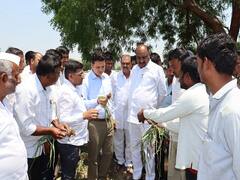 Photo : छ. संभाजीनगरचे पालकमंत्री भुमरे शेतकऱ्यांच्या बांधावर, केली नुकसानग्रस्त भागाची पाहणी