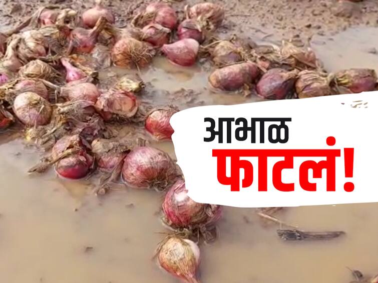Maharashtra Agriculture News nashik Unseasonal rain in Nashik district  huge damage to agricultural crops onion  Nashik News : आभाळ फाटलं तिथं ठिगळं लावायचं कुठं? नाशिक जिल्ह्यातील शेतकऱ्यांना अश्रू अनावर, 145 गावांना फटका