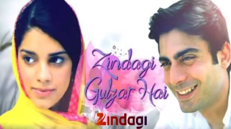 humsafar-to-suno-chanda-and-others-best-pakistani-dramas-on-netflix-mx-player-zee5-and-others-ott-platform Pakistani Serial: 'ਹਮਸਫਰ' ਤੋਂ 'ਜ਼ਿੰਦਗੀ ਗੁਲਜ਼ਾਰ ਹੈ' ਤੱਕ, ਓਟੀਟੀ 'ਤੇ ਦੇਖੋ ਪਾਕਿਸਤਾਨ ਦੇ ਇਹ ਸੁਪਰਹਿੱਟ ਸੀਰੀਅਲ