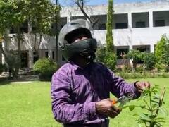 हापुड़: एक चील क्यों बन गई माली की जान की दुश्मन? हेलमेट पहनकर करना पड़ रहा काम