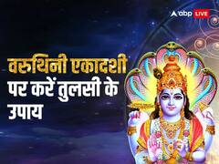 वरुथिनी एकादशी पर करें तुलसी के ये उपाय, घर में आएगी सुख-समृद्धि