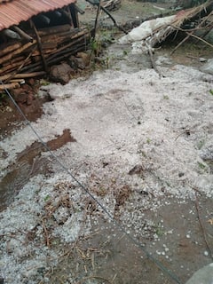 Nashik Unseasonal Rain : नाशिकला अवकाळी पाऊस आणि गारपिटीने झोडपले, तीन दिवसांनंतरही गारा जशाच्या तशा